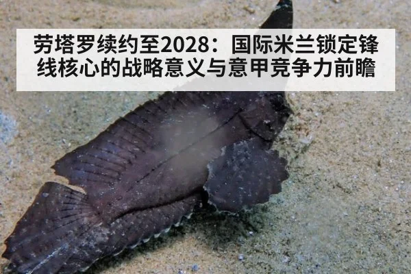 劳塔罗续约至2028：国际米兰锁定锋线核心的战略意义与意甲竞争力前瞻 - nine game